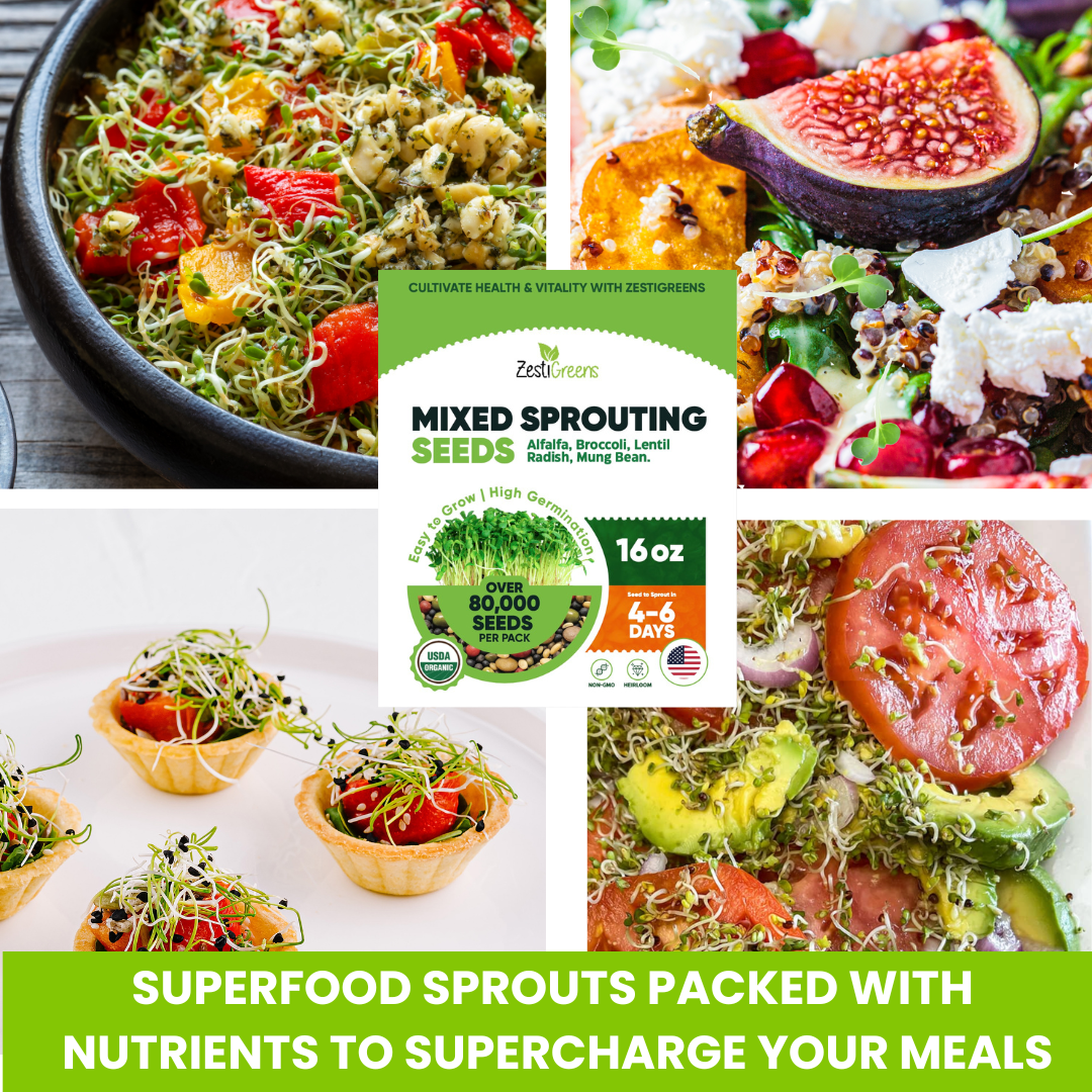 Mixed Sprouting Seeds Organic