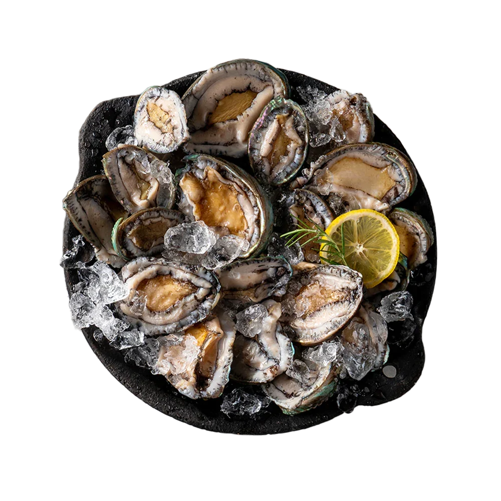 Frozen Abalone Large