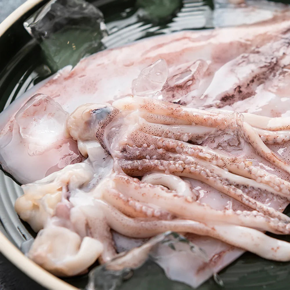 반건조 오징어