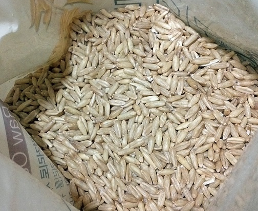 Premium K Whole Oat Grains (800g, 1.76lb)