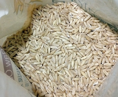 Premium K Whole Oat Grains (800g, 1.76lb)