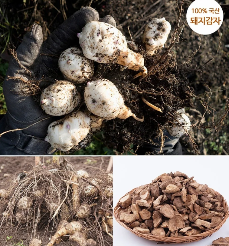[Cheonggangwon] Dried Jerusalem Artichoke (300g, 10.58 oz)
