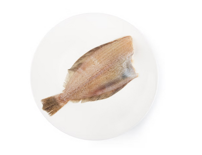Premium Jeju Seafood – Flounder (Chamkaejami)(300g, 10.58oz)