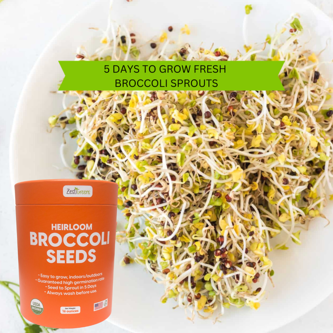Organic Broccoli Seeds