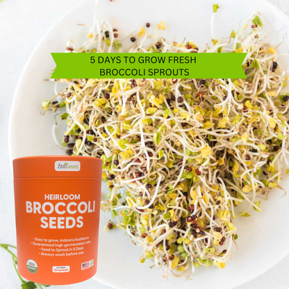 Organic Broccoli Seeds