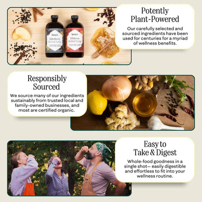 Hany’s Harvest Fire Cider – Small-Batch Apple Cider Vinegar Wellness Tonic - MEALTONES