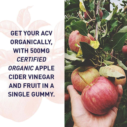 Garden of Life Organics Apple Cider Vinegar Gummies with Vitamin B12 – 500 mg, 60 Count