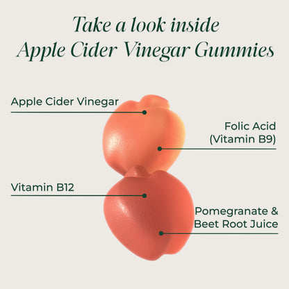 Primal Harvest Sugar-Free Apple Cider Vinegar Gummies – 750 mg, 60 Count
