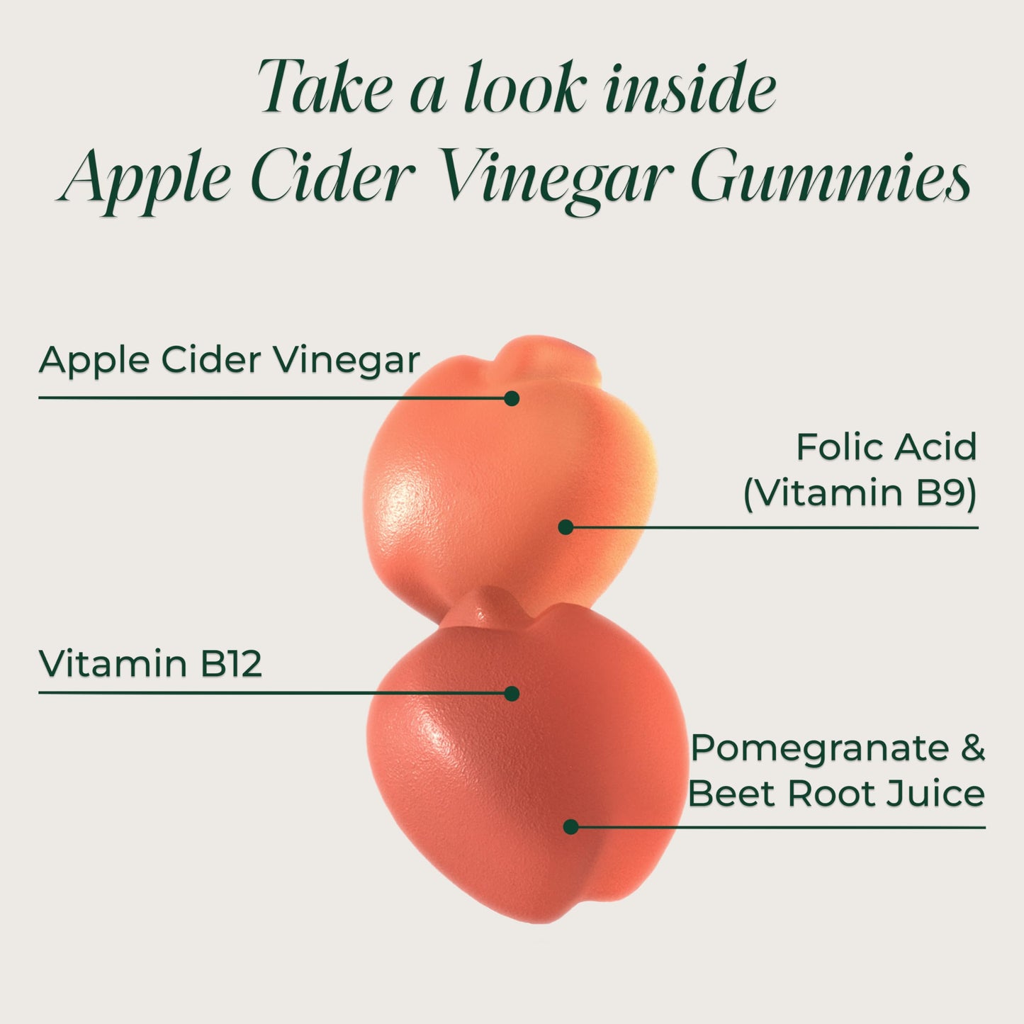 Primal Harvest Sugar-Free Apple Cider Vinegar Gummies – 750 mg, 60 Count