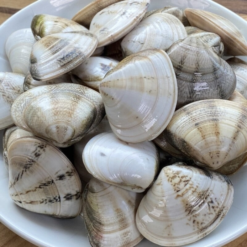 Frozen Bidan Clam (100g, 3.4oz)