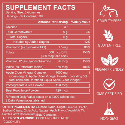 Nifeishi Apple Cider Vinegar Gummies with the Mother – 1,000 mg, 90 Count