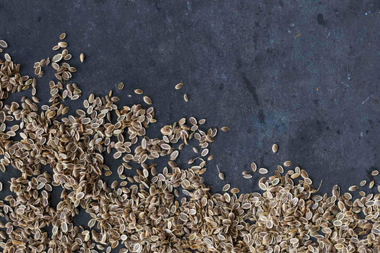 Dill Seed - MEALTONES
