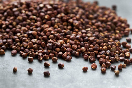 Grains of Paradise - MEALTONES