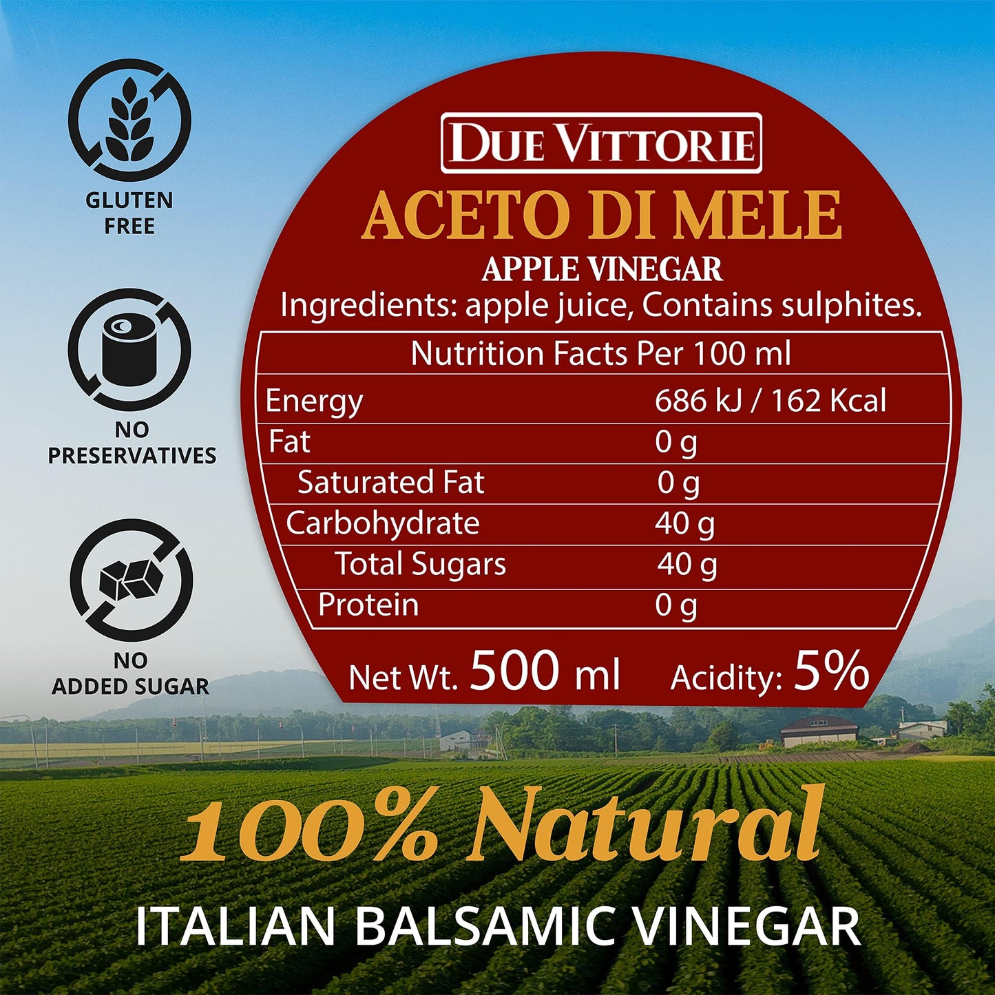 Due Vittorie Italian Apple Cider Vinegar Aged in Wine Barrels – 16.9 fl oz - MEALTONES
