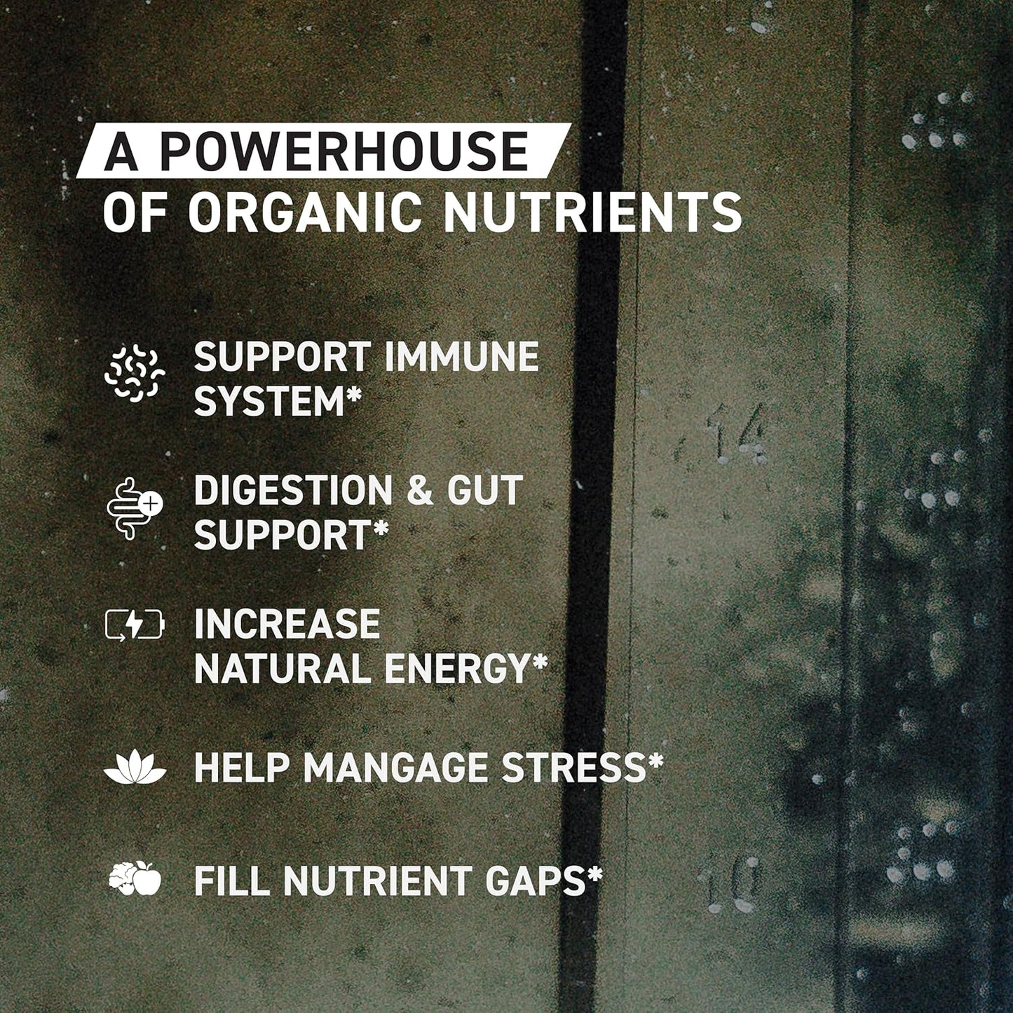 Kaged Outlive 100 Organic Greens Powder Superfood Blend with Apple Cider Vinegar