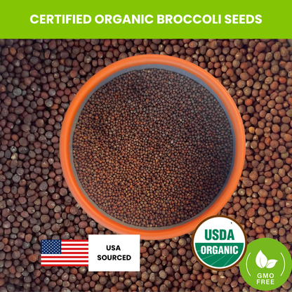 Organic Broccoli Seeds