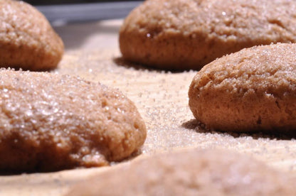 gfJules GF Graham Cracker – Gingerbread Mix