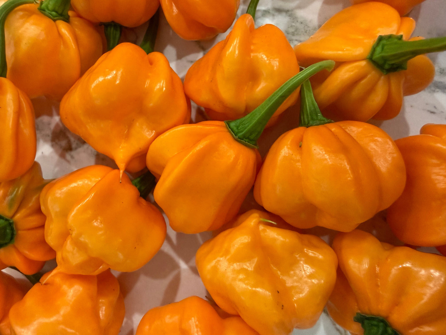 Pineapple Scotch Bonnett Chili Jam