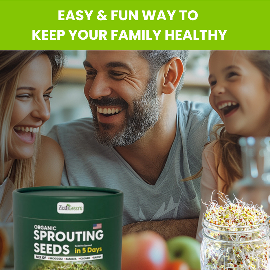Mixed Sprouting Seeds Organic