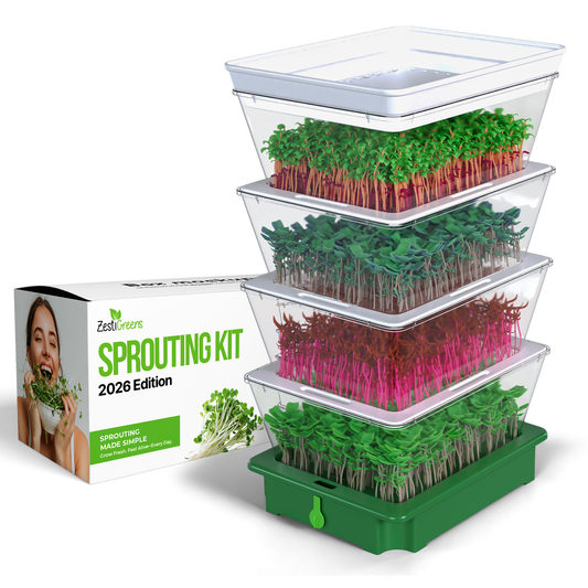 ZESTIGREENS Tiered Sprouting Kit with Drain Spout – Stackable Seed Sprouter Trays for Growing Fresh Sprouts at Home – BPA-Free, Easy Rinse & Drain System