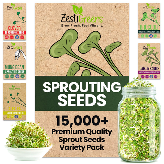 Organic 5 Variety Pack of Fresh Sprouting Seeds