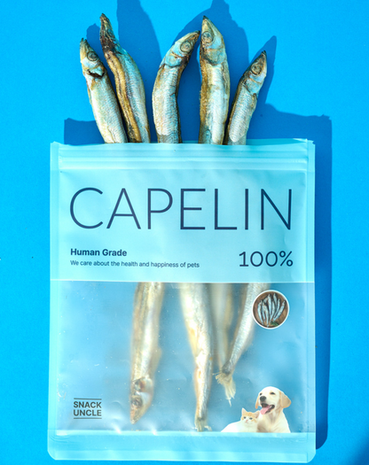 Snack Uncle : Dried Capelin (열빙어) 50g