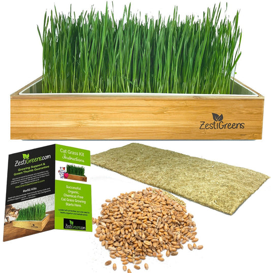 Self Watering Cat Grass Kit. The Easiest Way to Grow Cat Grass.
