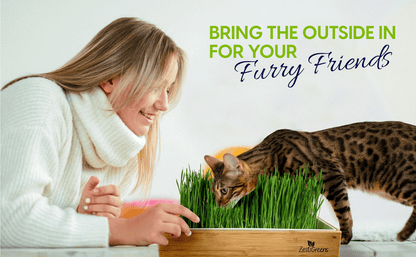 Self Watering Cat Grass Kit. The Easiest Way to Grow Cat Grass.
