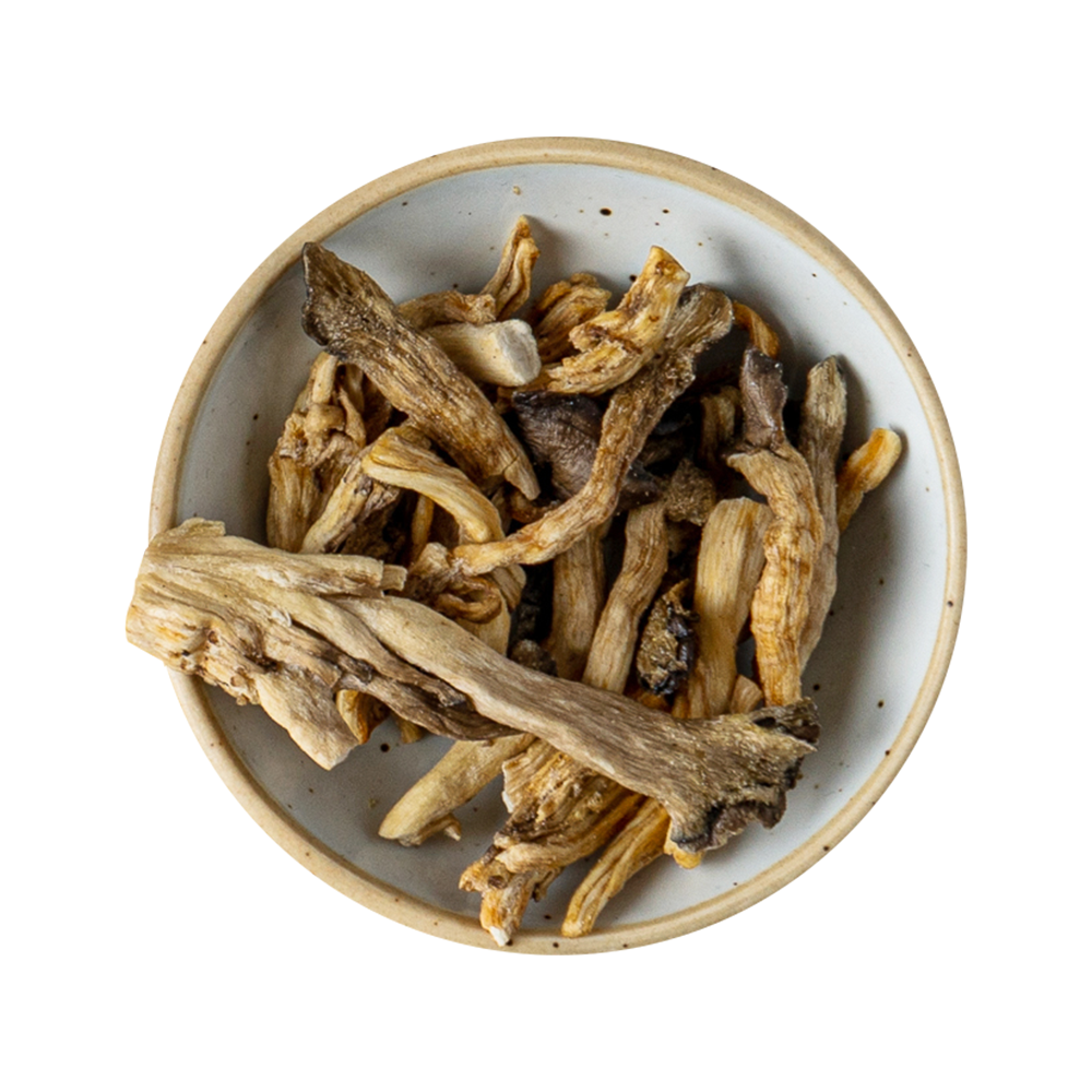 Trustyoon Favorips Netary Mushroom Snack (Oyster Mushroom Chips)