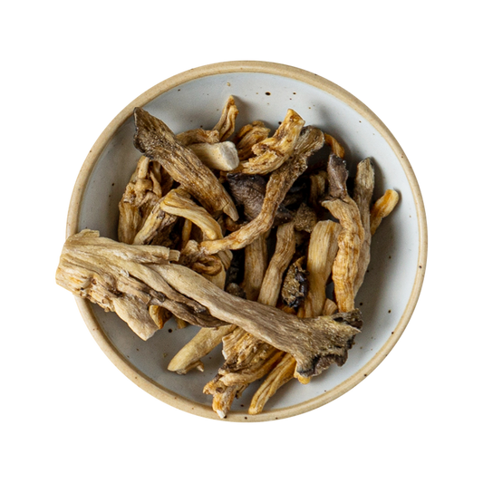 Trustyoon Favorips Netary Mushroom Snack (Oyster Mushroom Chips)